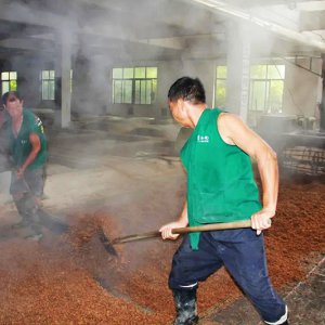 喚醒兩千余條窖池，新的釀酒季由此開始